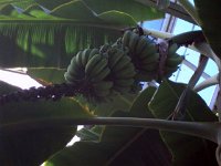 photos 2000-200902633